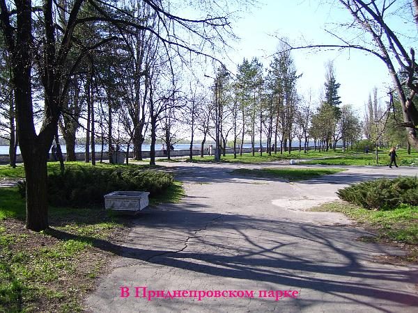  В Приднепровском парке 