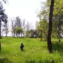 Весенний парк Юбилейный в Кременчуге