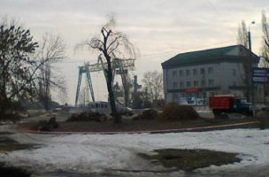 Вырубка деревьев в Кременчуге