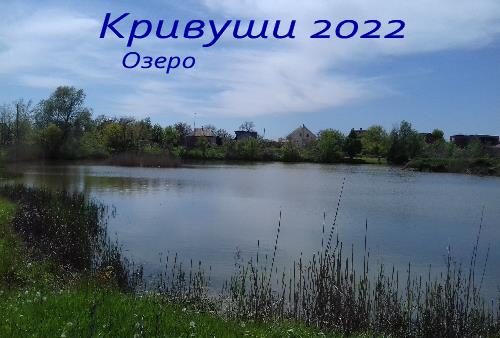 Село Кривуши 2022