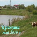 Село Кривуши