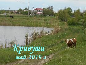 Село Кривуши в мае. Отдых на природе