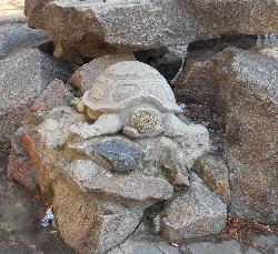 Скульптура Буратино и черепаха Тортилла