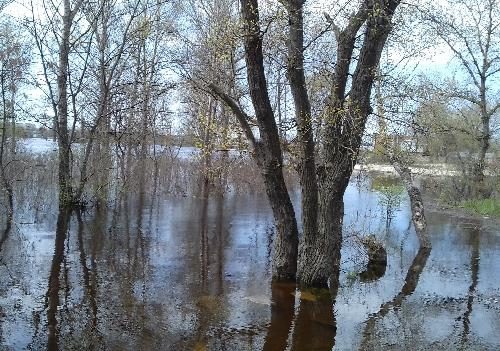 Наводнение в Кременчуге