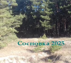 Село Сосновка и его новые достопримечательности Село Сосновка и его новые достопримечательности