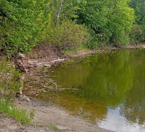 Отдых в пригороде Кременчуга дачи на Днепре