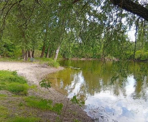 Отдых в пригороде Кременчуга дачи на Днепре