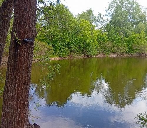 Отдых в пригороде Кременчуга Зона отдыха на Днепре