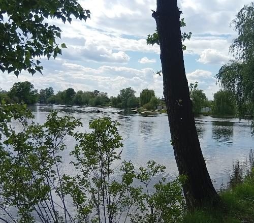 Отдых в пригороде Кременчуга Зона отдыха на Днепре