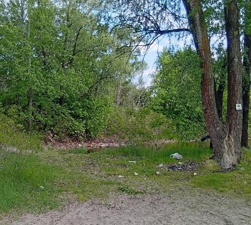 Отдых в пригороде Кременчуга в Кременчуге на дачах