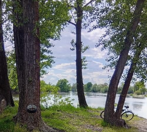 Отдых в пригороде Кременчуга в Кременчуге на дачах