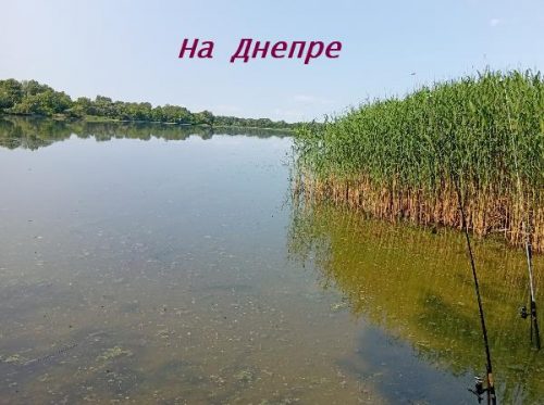 Место рыбалки на Днепре