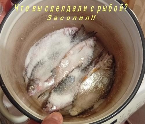 Сушу рыбу