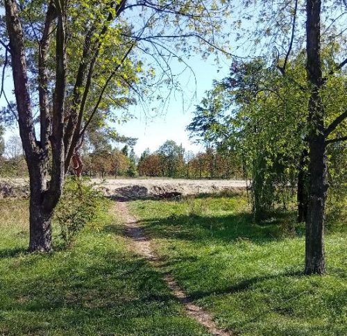 Комсомольский парк в Кременчуге