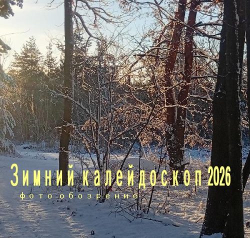 Зимний клейдоскоп 2026