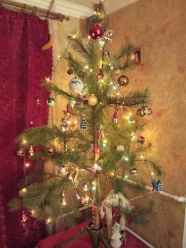 Наша елка 2026