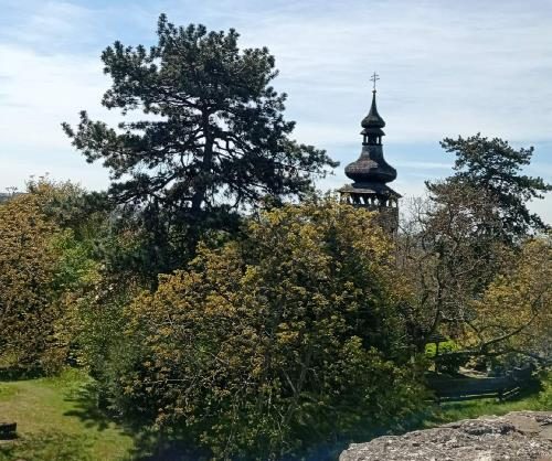 Ужгород2026, достопримечательности