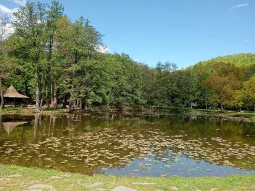 Озеро и парк у дворца Шенборнов