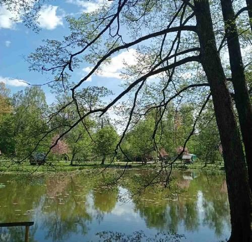 Озеро и парк у дворца Шенборнов