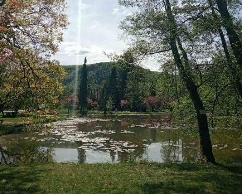 Озеро и парк у дворца Шенборнов